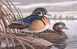 Duck Stamp Entry